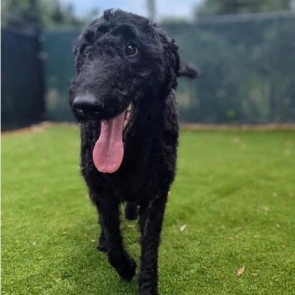 Meet your Posher, Karen - Picture 2 of 4